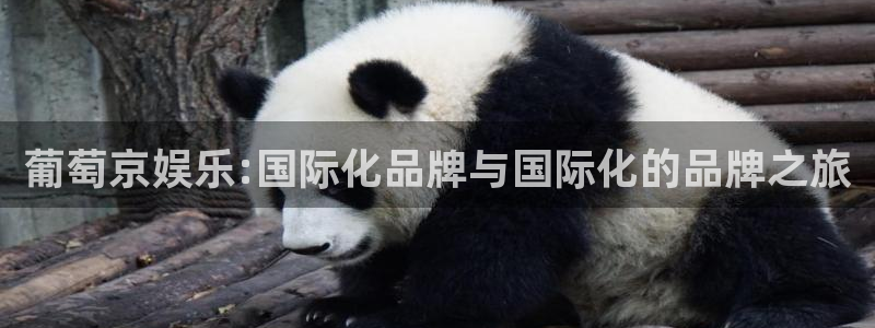 万事娱乐：葡萄京娱乐:国际化品牌与国际化的品牌之旅