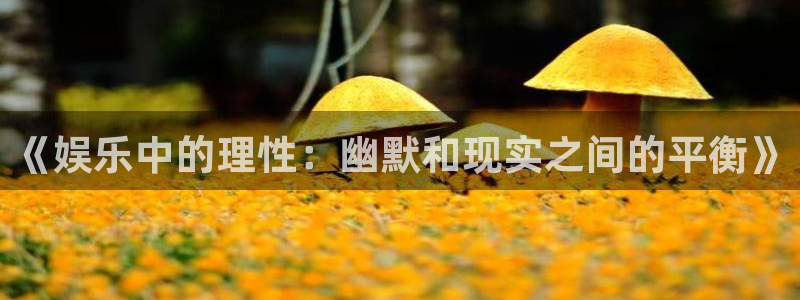 万事娱乐