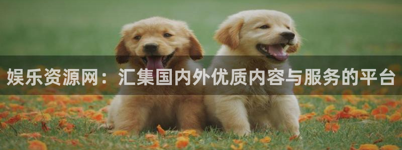 万事娱乐