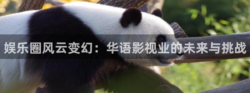 万事娱乐登录：娱乐圈风云变幻：华语影视业的未来与挑战