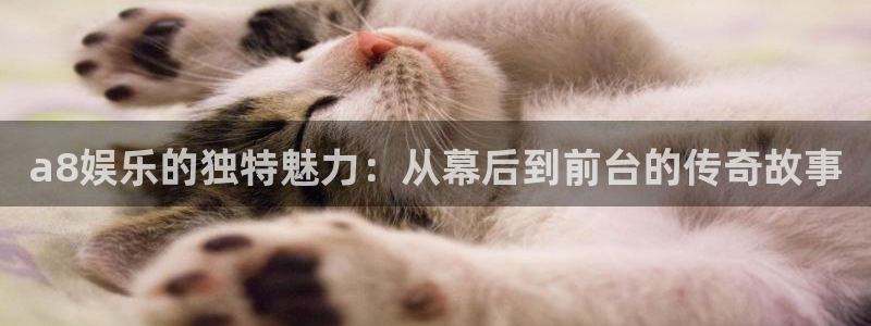 万事娱乐：a8娱乐的独特魅力：从幕后到前台的传奇故事