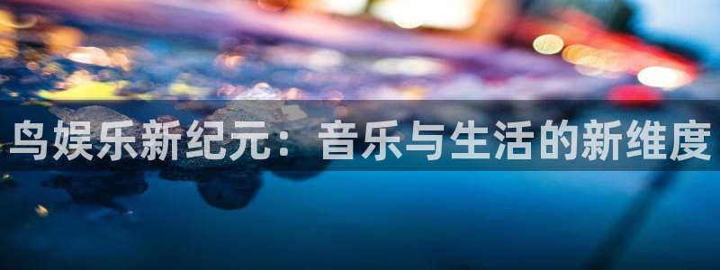 万事娱乐登录：鸟娱乐新纪元：音乐与生活的新维度