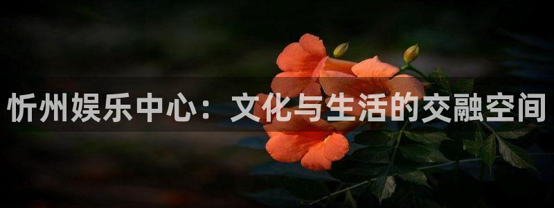 万事娱乐登录：忻州娱乐中心：文化与生活的交融空间