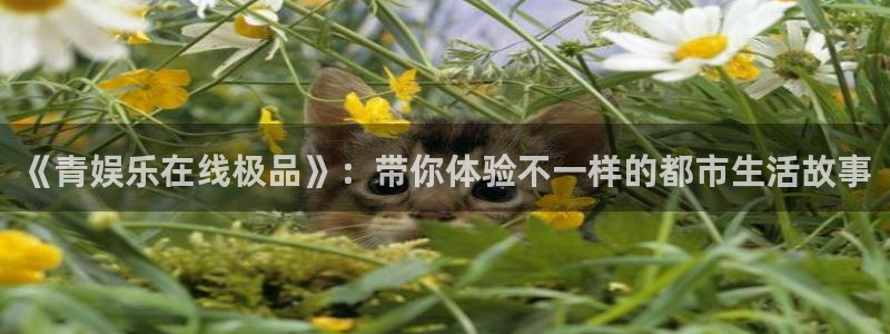 万事娱乐登录地址：《青娱乐在线极品》：带你体验不一样的都市生活故事