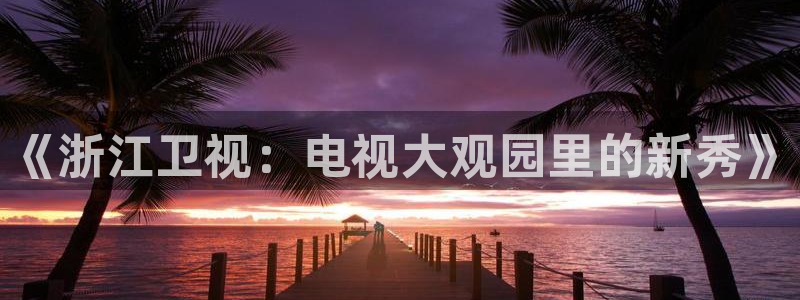 万事娱乐登录：《浙江卫视：电视大观园里的新秀》