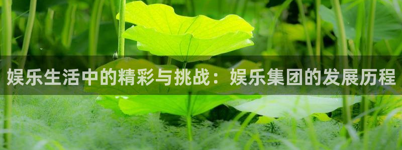 万事娱乐：娱乐生活中的精彩与挑战：娱乐集团的发展历程
