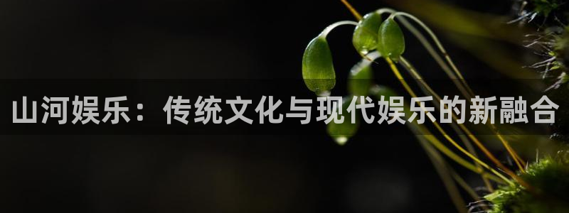 万事娱乐：山河娱乐：传统文化与现代娱乐的新融合